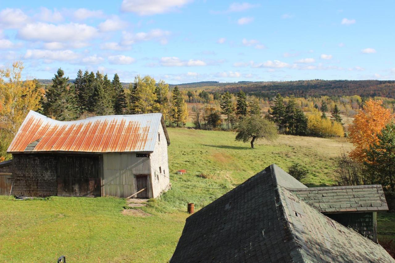Maplehurst Manor Bed And Breakfast Dorchester Экстерьер фото